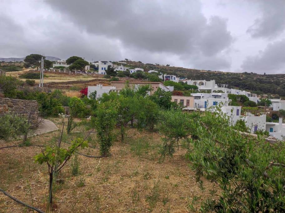 Holiday home Aloni Stone With Private Parking *