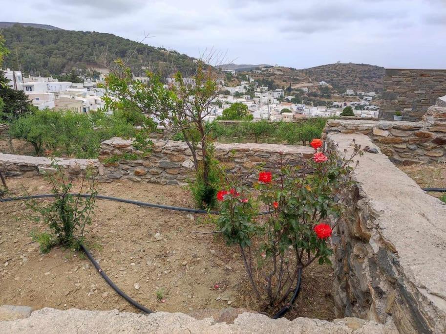Aloni Stone With Private Parking Lefkes (Paros)
